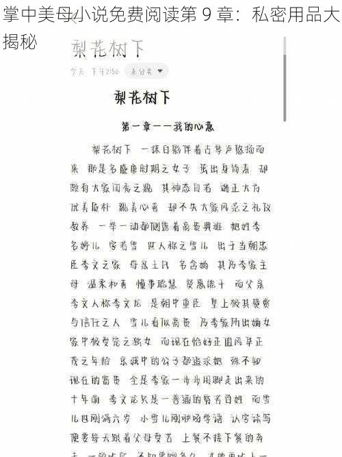 掌中美母小说免费阅读第 9 章:私密用品大揭秘