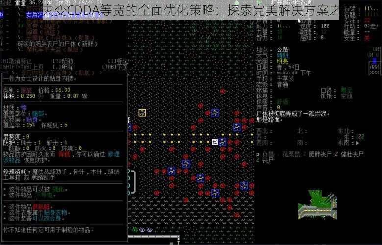 大灾变CDDA等宽的全面优化策略:探索完美解决方案之路