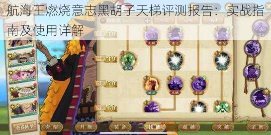 航海王燃烧意志黑胡子天梯评测报告:实战指南及使用详解
