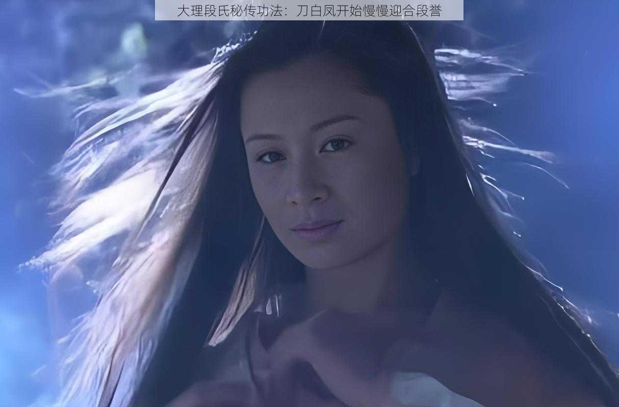大理段氏秘传功法:刀白凤开始慢慢迎合段誉