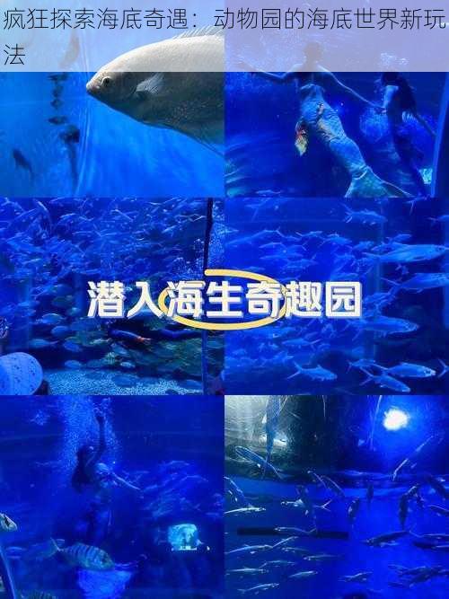 疯狂探索海底奇遇:动物园的海底世界新玩法