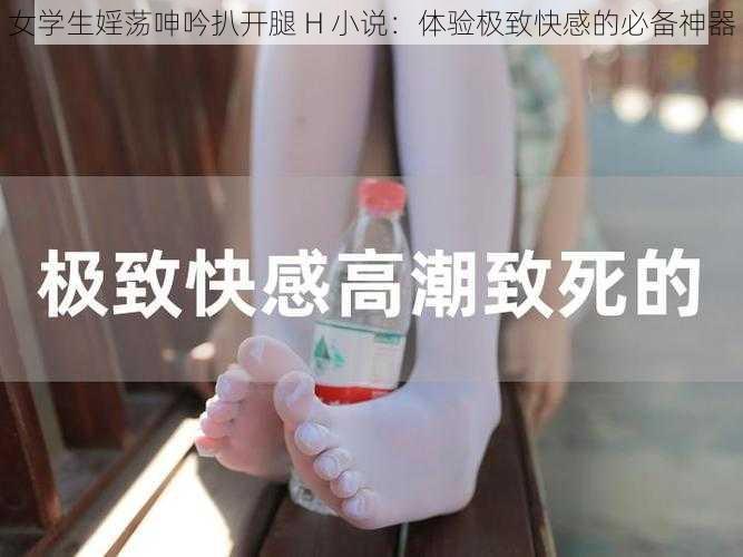 女学生婬荡呻吟扒开腿 H 小说:体验极致快感的必备神器