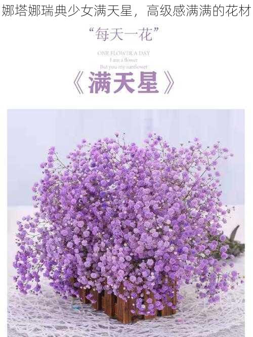 娜塔娜瑞典少女满天星,高级感满满的花材