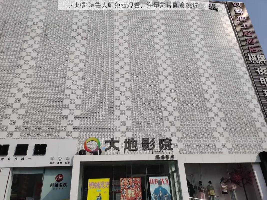 大地影院鲁大师免费观看,海量影片随意挑选