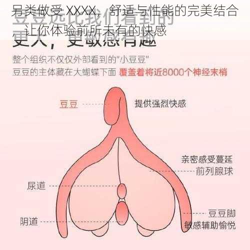 另类做受 XXXX,舒适与性能的完美结合,让你体验前所未有的快感