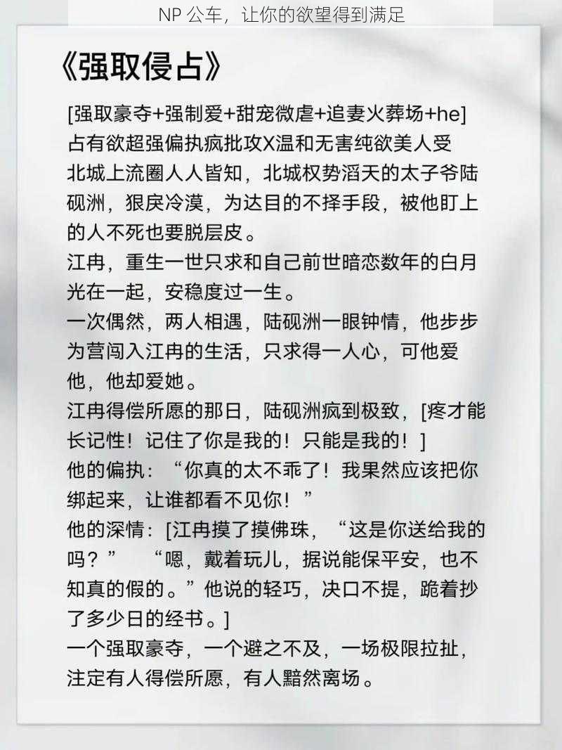 NP 公车,让你的欲望得到满足