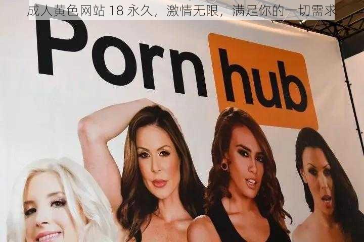 成人黄色网站 18 永久,激情无限,满足你的一切需求