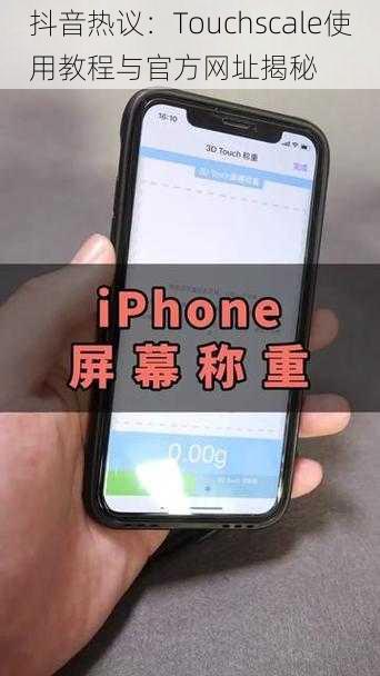 抖音热议:Touchscale使用教程与官方网址揭秘