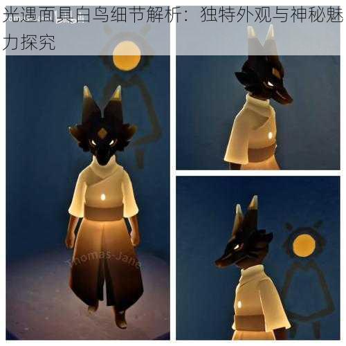 光遇面具白鸟细节解析:独特外观与神秘魅力探究