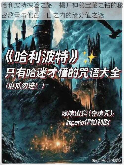 哈利波特探险之旅:揭开神秘宝藏之钻的秘密数量与他在一日之内的缘分值之谜