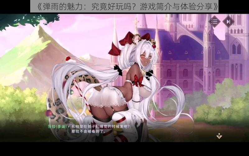 《弹雨的魅力:究竟好玩吗?游戏简介与体验分享》
