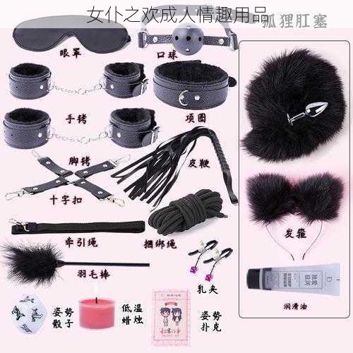 女仆之欢成人情趣用品