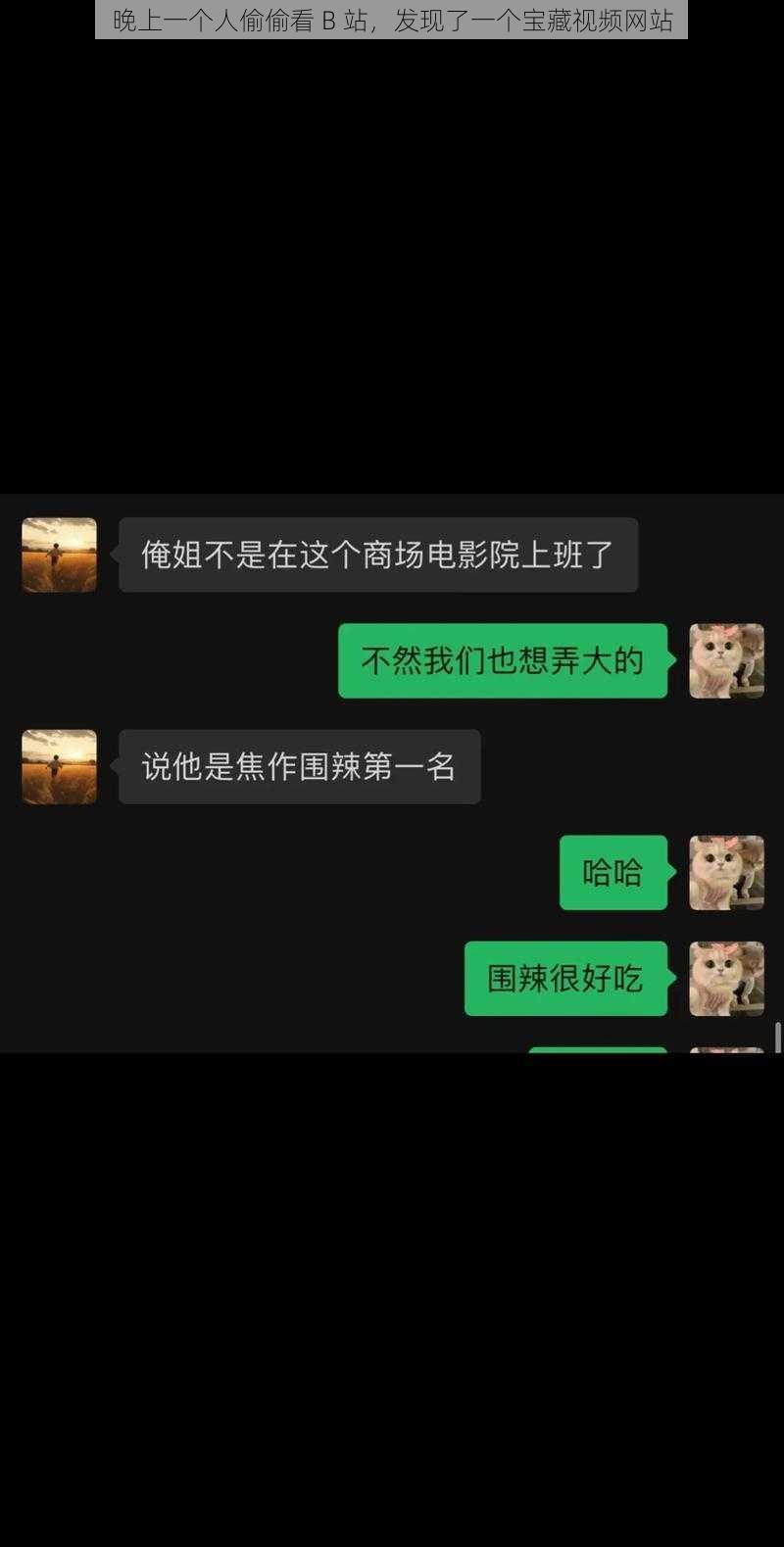 晚上一个人偷偷看 B 站,发现了一个宝藏视频网站