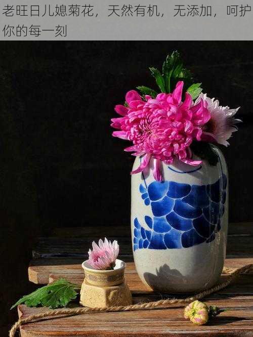老旺日儿媳菊花,天然有机,无添加,呵护你的每一刻