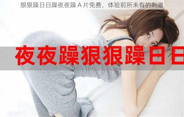 狠狠躁日日躁夜夜躁 A 片免费,体验前所未有的刺激