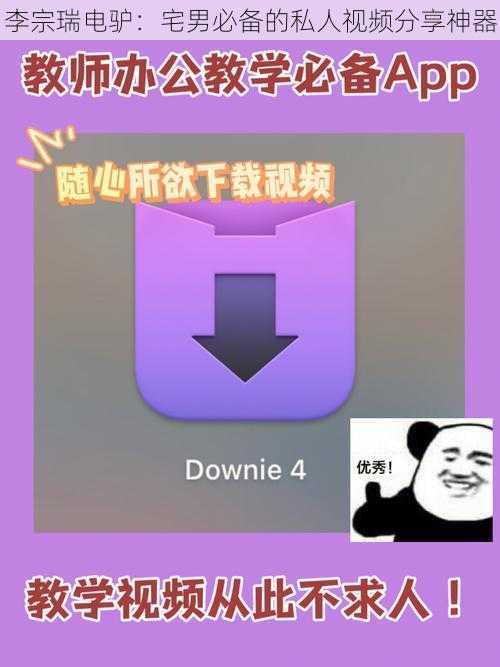 李宗瑞电驴:宅男必备的私人视频分享神器