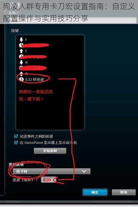 狗凌人群专用卡刀宏设置指南:自定义配置操作与实用技巧分享