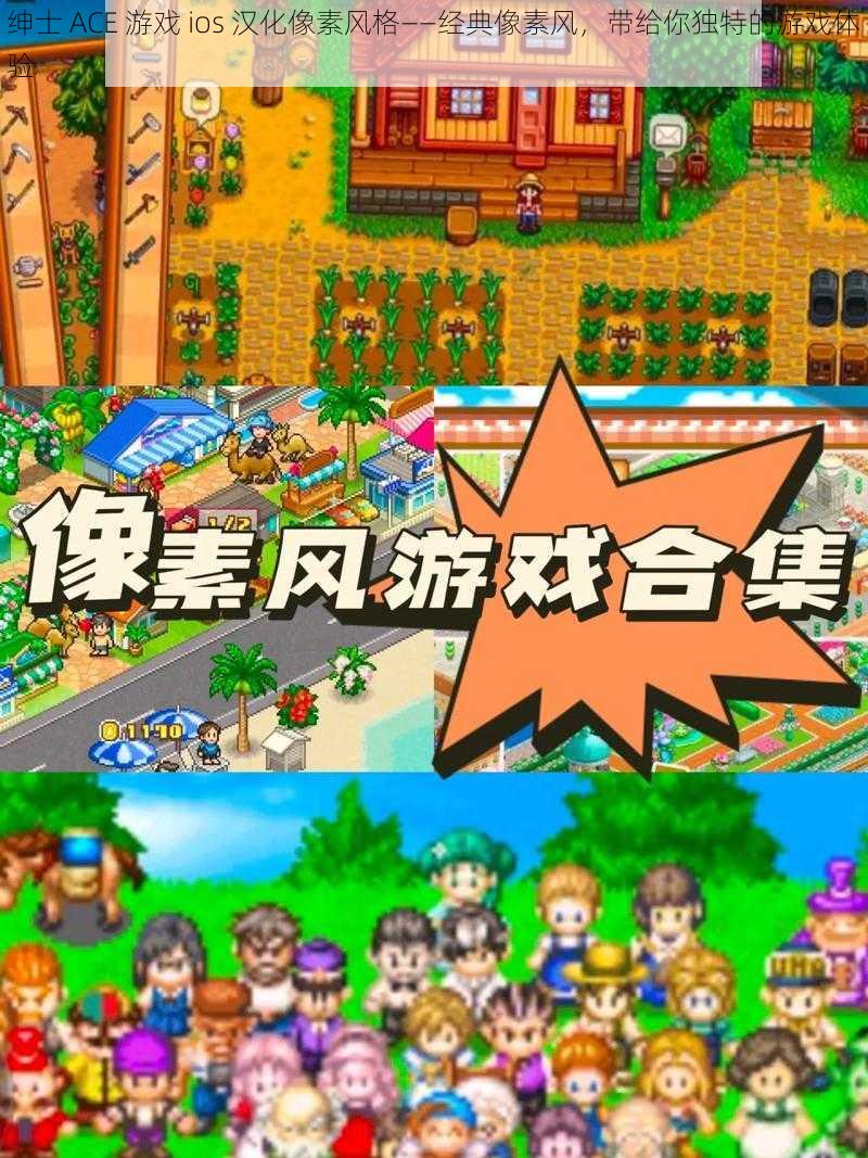绅士 ACE 游戏 ios 汉化像素风格——经典像素风,带给你独特的游戏体验