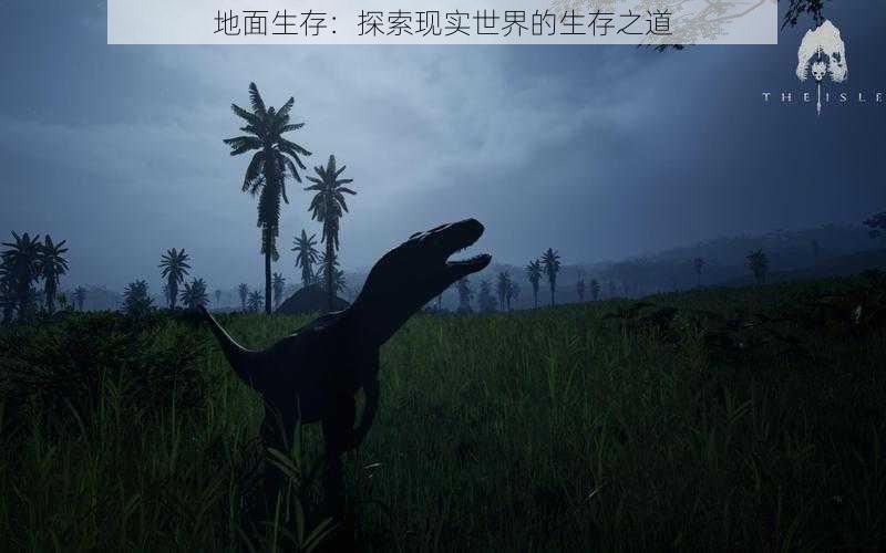 地面生存:探索现实世界的生存之道