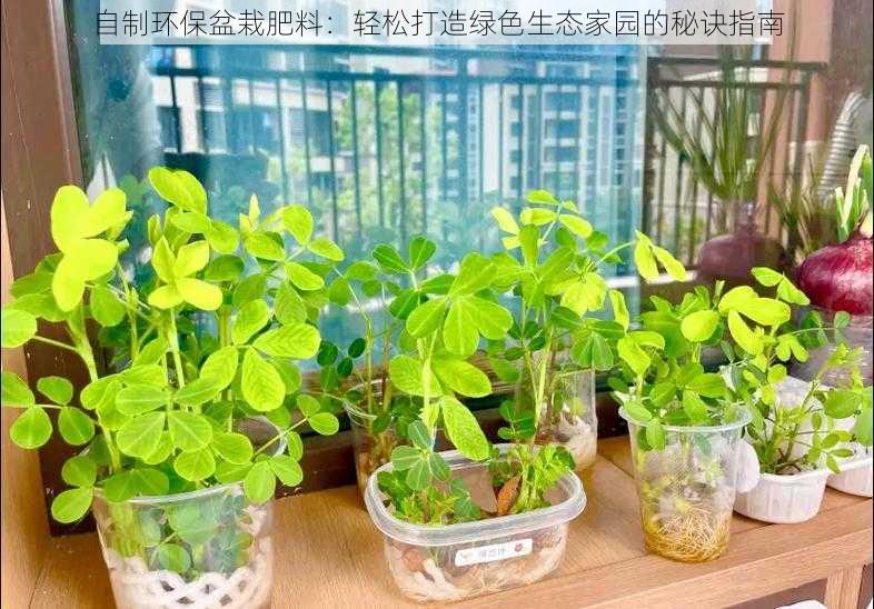 自制环保盆栽肥料:轻松打造绿色生态家园的秘诀指南