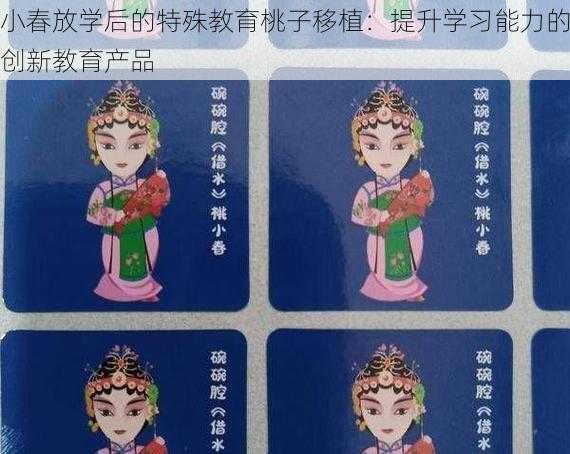 小春放学后的特殊教育桃子移植:提升学习能力的创新教育产品