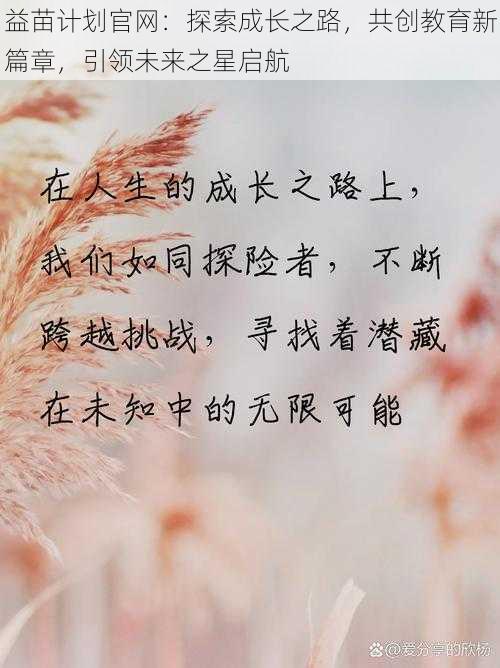 益苗计划官网:探索成长之路,共创教育新篇章,引领未来之星启航