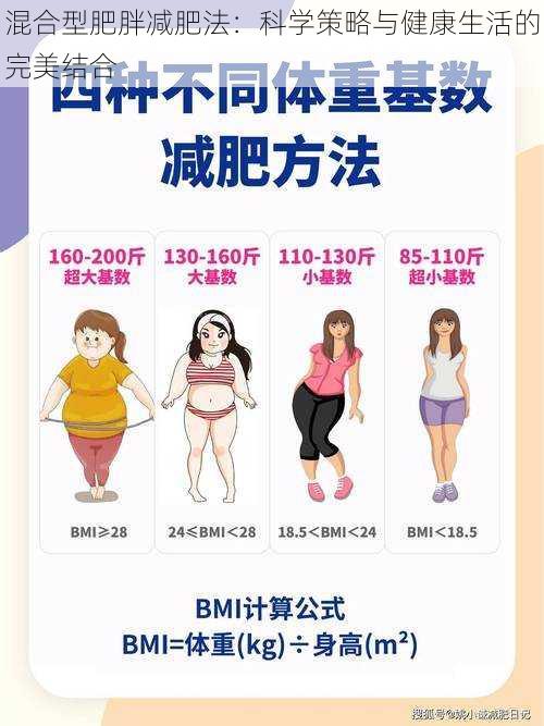 混合型肥胖减肥法:科学策略与健康生活的完美结合