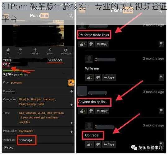 91Porn 破解版年龄核实:专业的成人视频验证平台