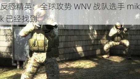 反恐精英:全球攻势 WNV 战队选手 mikk 已经找到