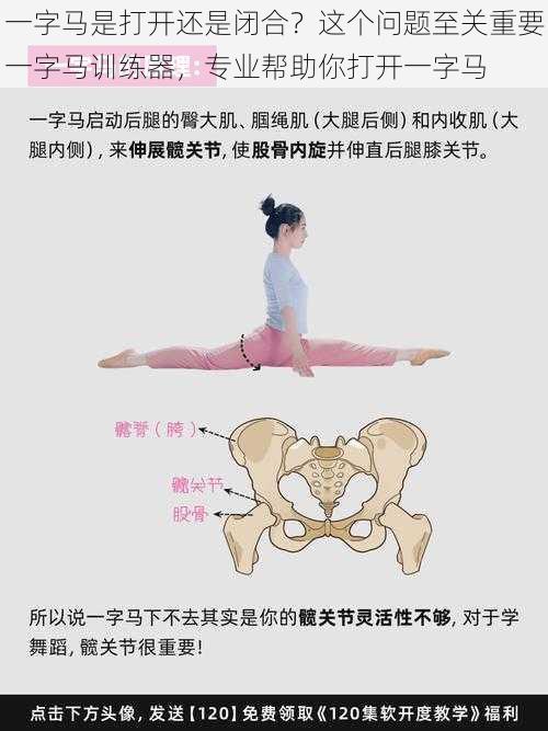 一字马是打开还是闭合?这个问题至关重要一字马训练器,专业帮助你打开一字马