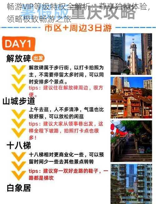 畅游VIP等级特权全解析:尊享独特体验,领略极致畅游之旅