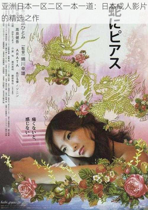 亚洲日本一区二区一本一道:日本成人影片的精选之作