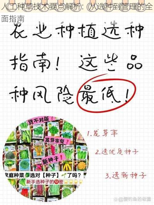 人工种草技术要点解析:从选种到管理的全面指南