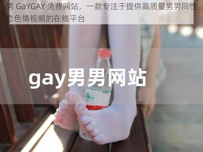 男 GaYGAY 免费网站,一款专注于提供高质量男男同性恋色情视频的在线平台