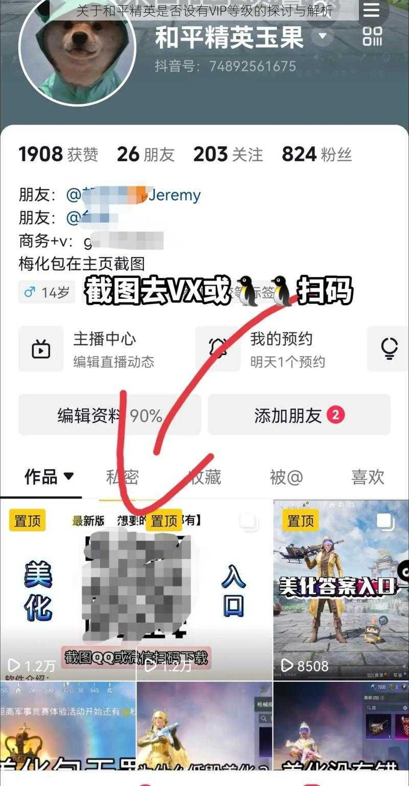关于和平精英是否设有VIP等级的探讨与解析