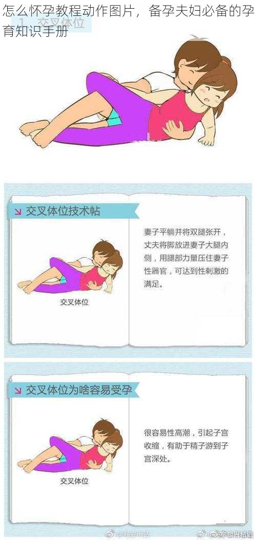 怎么怀孕教程动作图片,备孕夫妇必备的孕育知识手册
