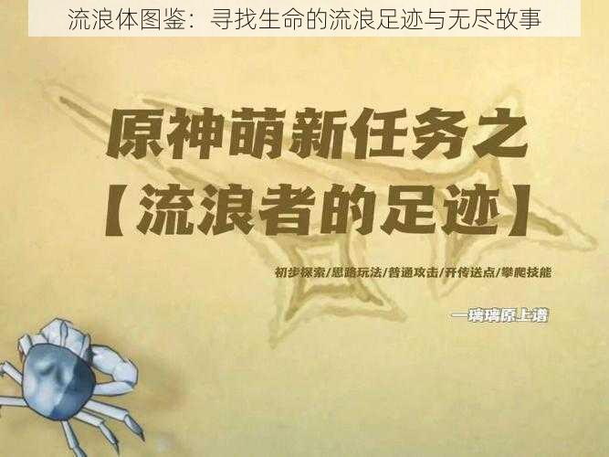 流浪体图鉴:寻找生命的流浪足迹与无尽故事