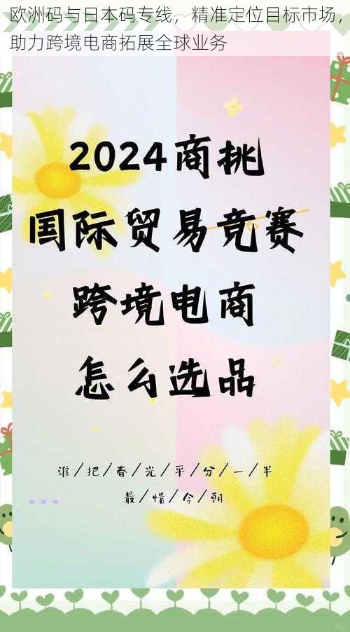 欧洲码与日本码专线,精准定位目标市场,助力跨境电商拓展全球业务
