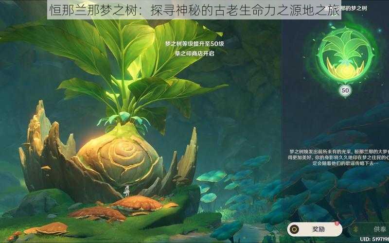 恒那兰那梦之树:探寻神秘的古老生命力之源地之旅