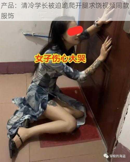 产品:清冷学长被迫跪爬开腿求饶视频同款服饰