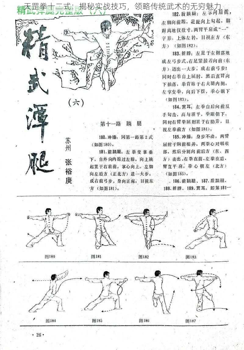 天罡拳十二式:揭秘实战技巧,领略传统武术的无穷魅力