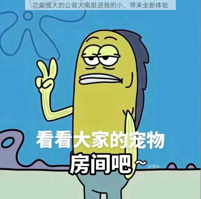功能强大的公翁大龟挺进我的小,带来全新体验