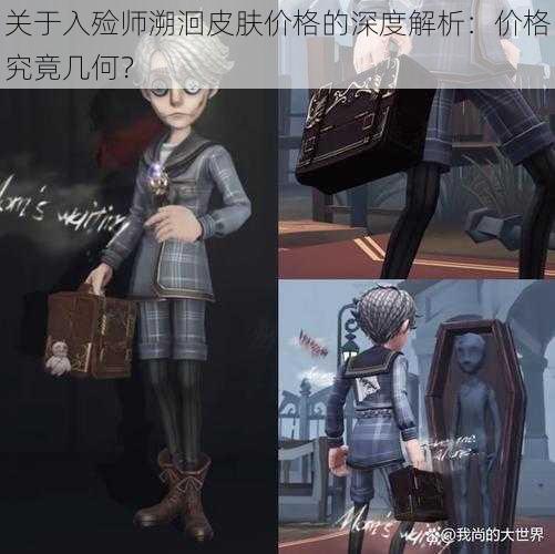关于入殓师溯洄皮肤价格的深度解析:价格究竟几何?