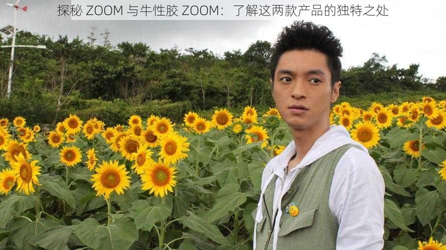 探秘 ZOOM 与牛性胶 ZOOM:了解这两款产品的独特之处