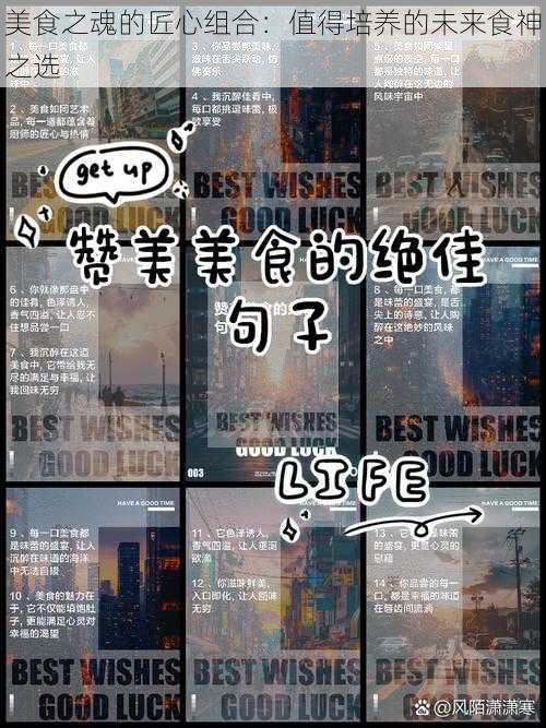 美食之魂的匠心组合:值得培养的未来食神之选