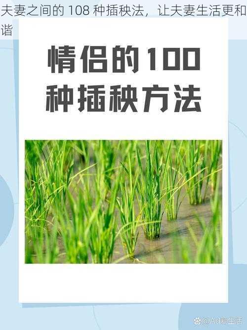 夫妻之间的 108 种插秧法,让夫妻生活更和谐