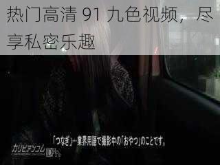 热门高清 91 九色视频,尽享私密乐趣