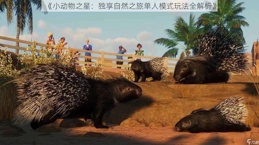 《小动物之星:独享自然之旅单人模式玩法全解析》