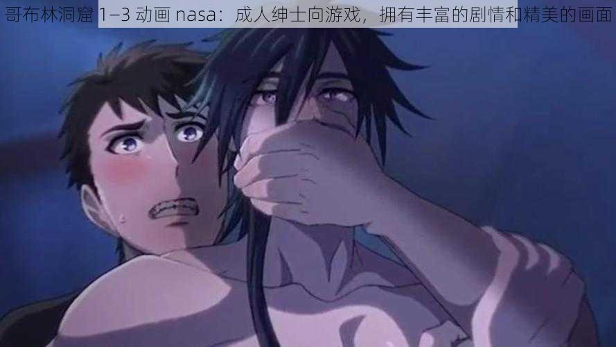 哥布林洞窟 1—3 动画 nasa:成人绅士向游戏,拥有丰富的剧情和精美的画面