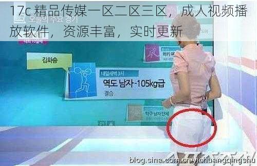 17c 精品传媒一区二区三区,成人视频播放软件,资源丰富,实时更新